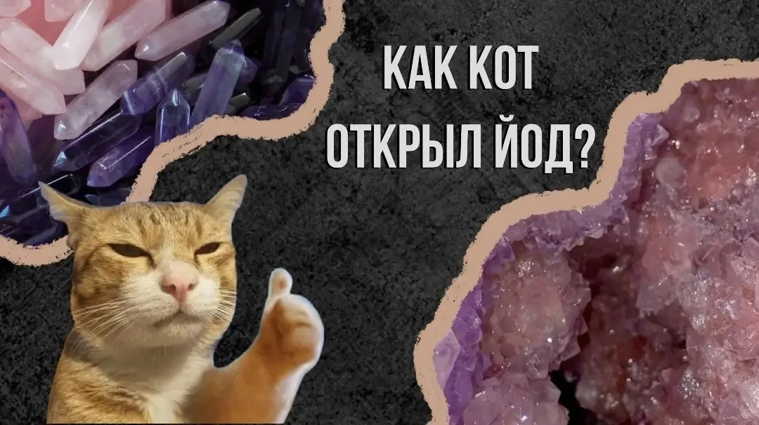 🧪 Кот и йод: история одного открытия