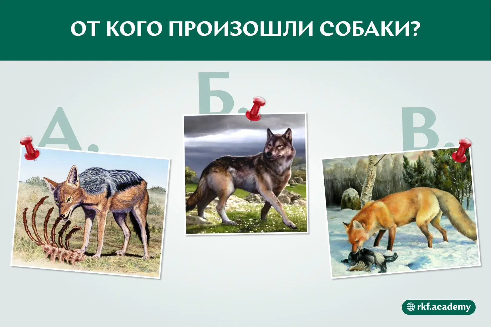 Ждём ваши ответы в комментариях 👇