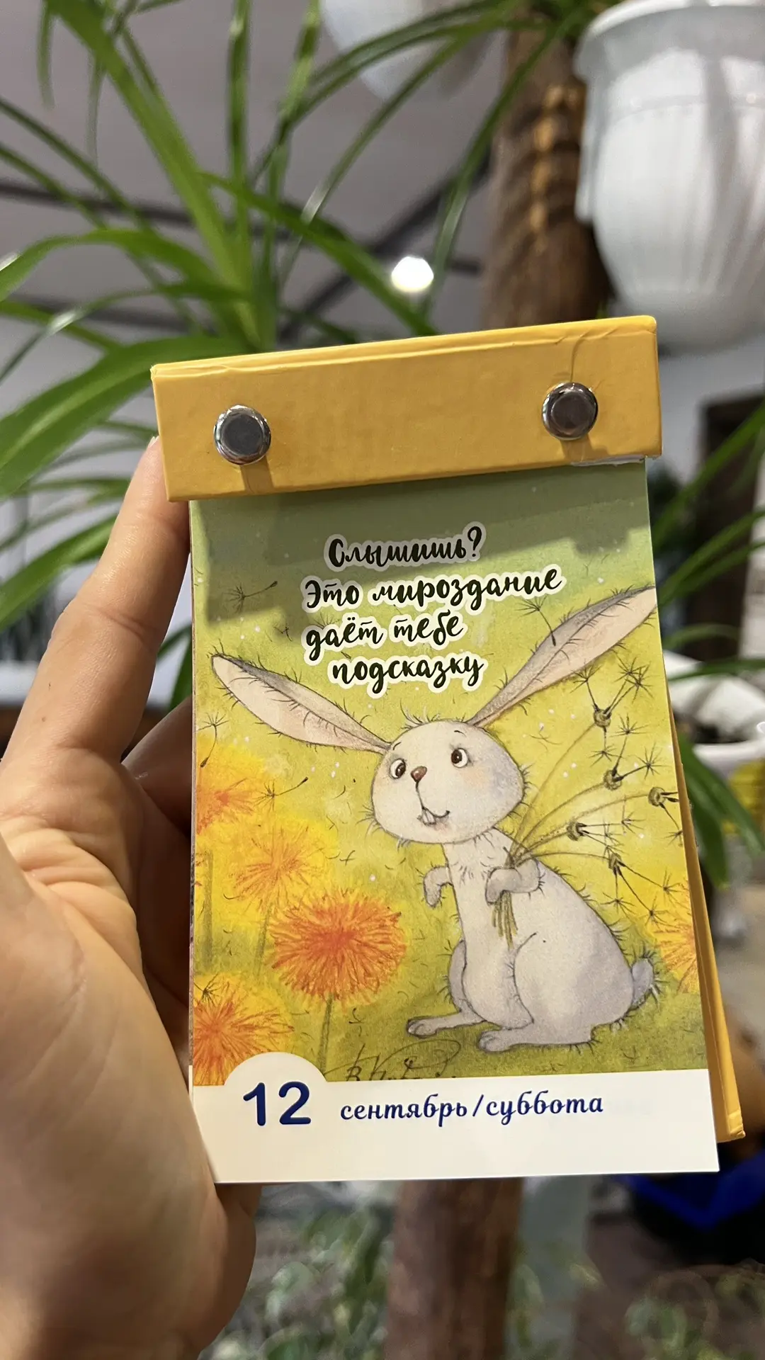 Доброе утро, дорогие-любимые! 🌞 Какой всё-таки светлой и уютной получилась детская 😍 ...
