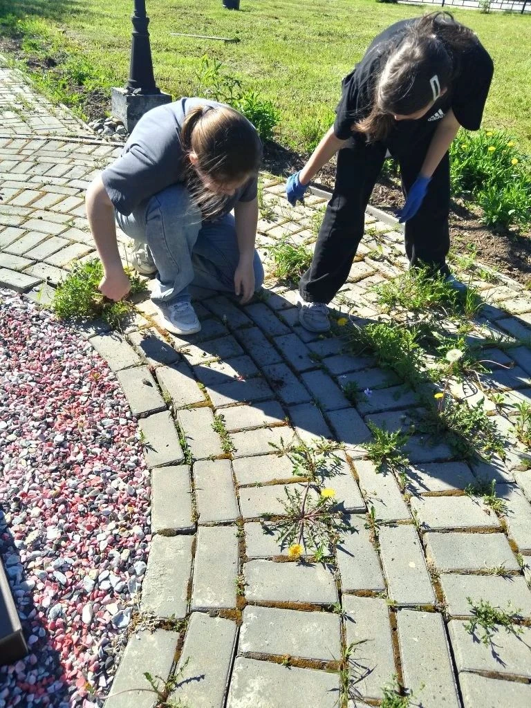 Друзья, работа кипит! Наш трудовой десант не сбавляет оборотов и продолжает облагоражив...