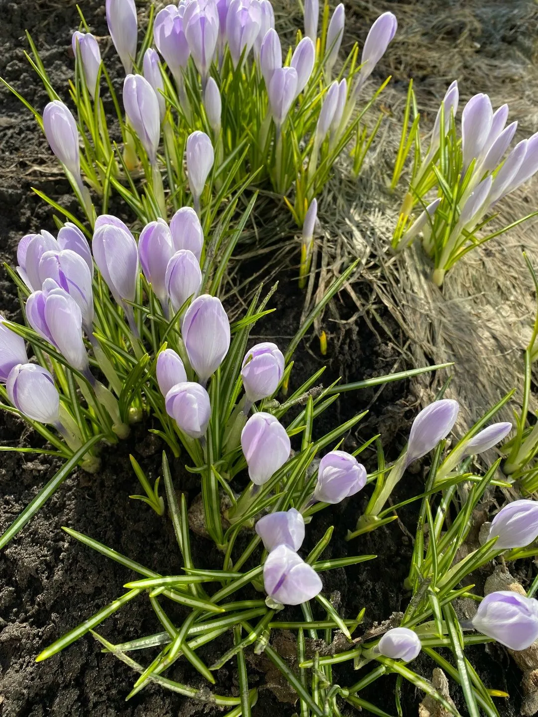 🌧Апрельский дождь прошёл впервые,