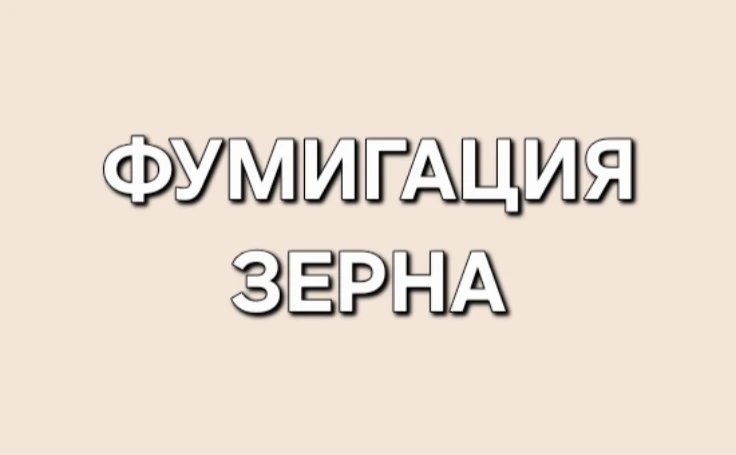 Для чего нужна фумигация зерна на складе?

А) Чтобы зерно стало вкуснее
Б) Чтобы уничтожить вредител