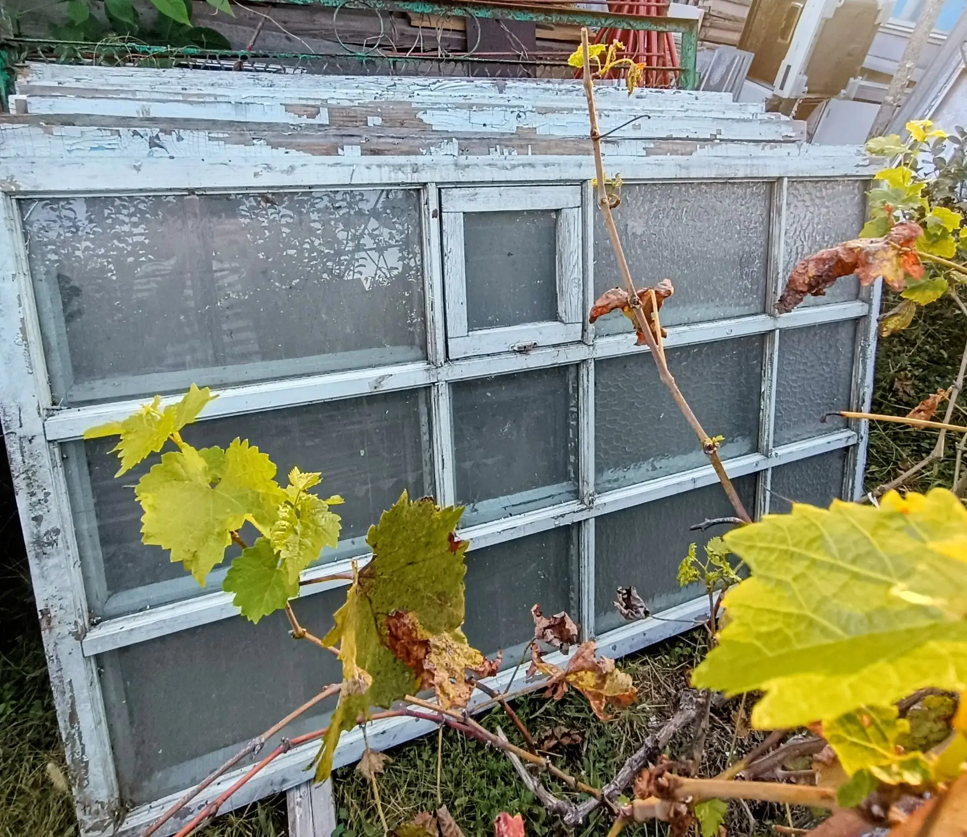 Продам деревянные окна бу. Из них можно сделать небольшую тепличку, домик для животных,...