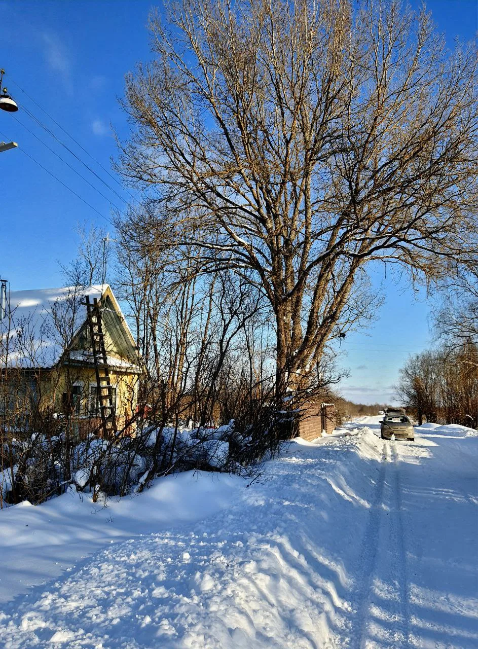 Много снега, яркое солнце и мороз❄️☃️