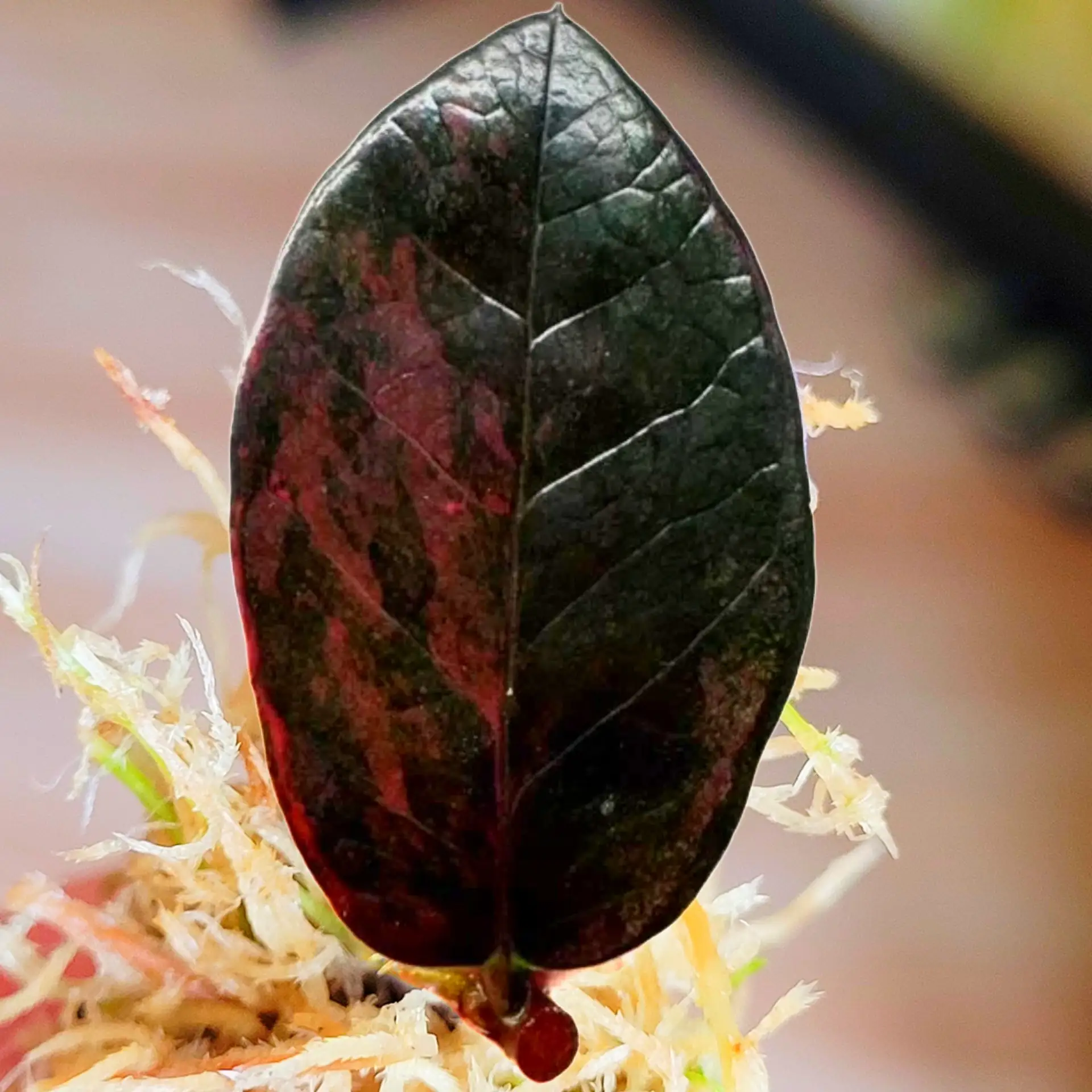 🔥Скоро! 😍