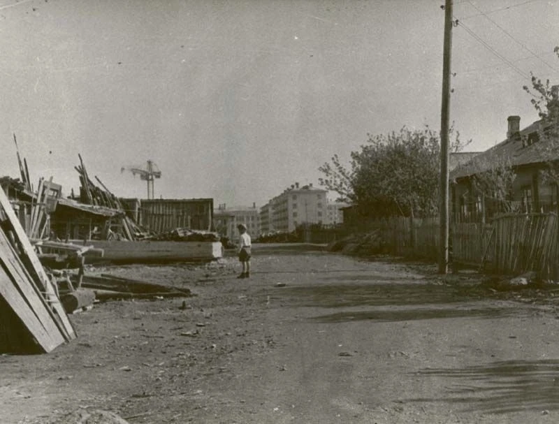 Поселок Панькино