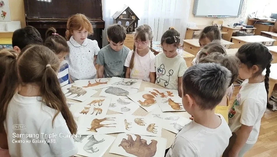 Знатоки фауны: учимся различать диких и домашних животных 🐾  В нашем детском саду прошло увлекательн