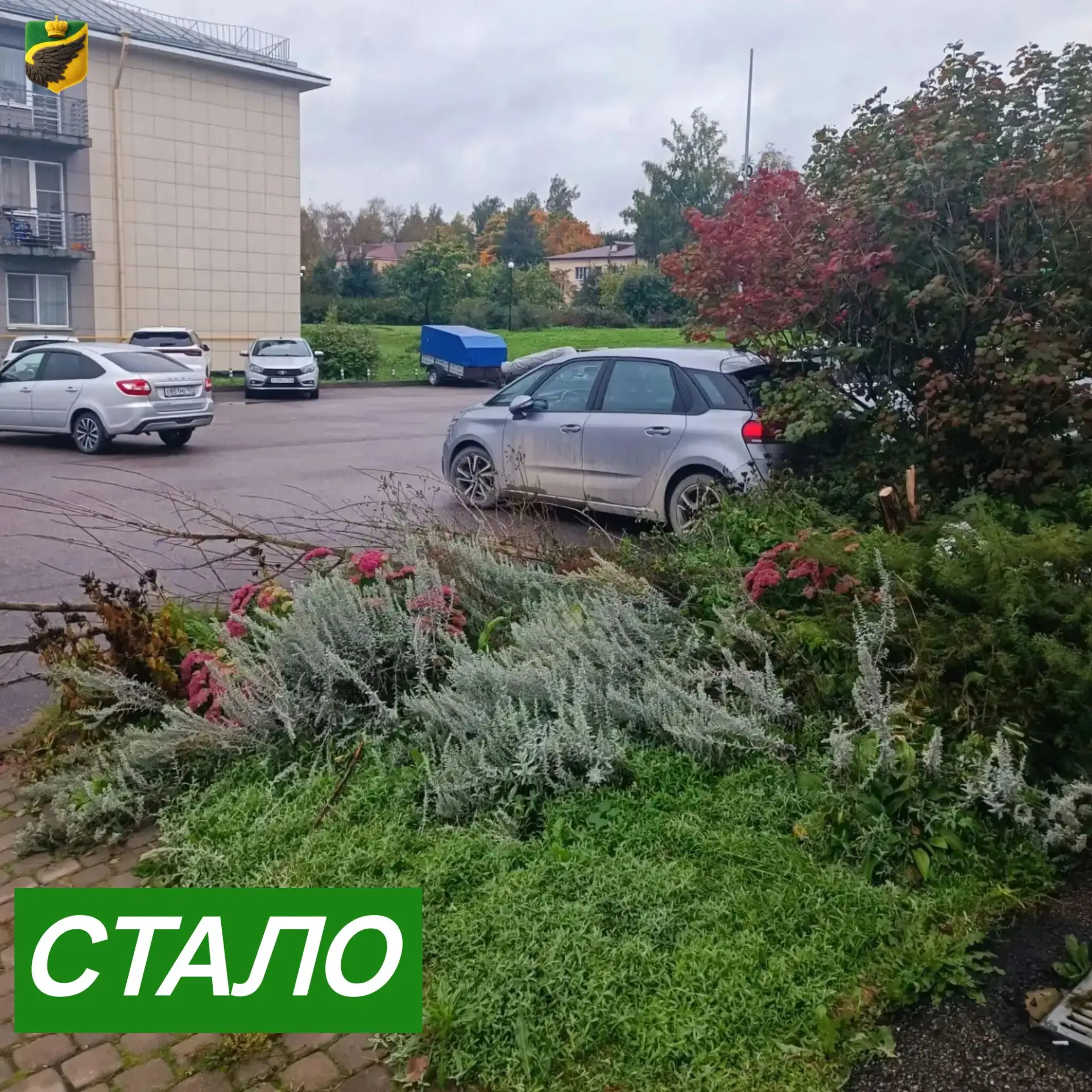 🌿 Порядок на каждой улице!