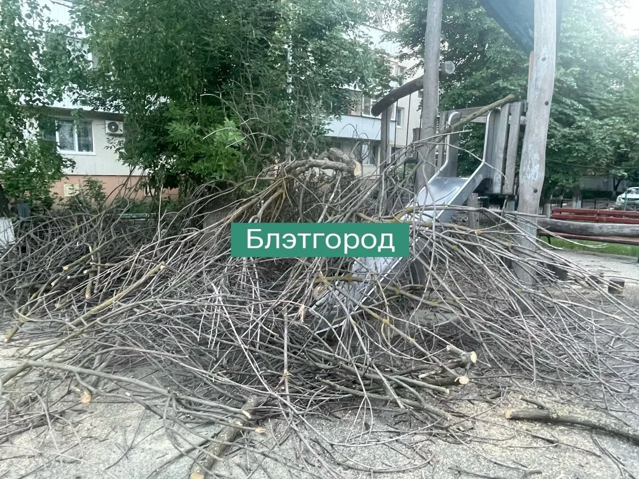 Детская площадка на Пугачева, 16 превратилась в горы веток, жалуются местные жители.

По словам подп