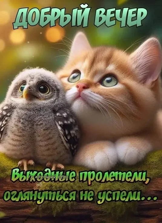 Ставьте ❤️ если понравилась открытка