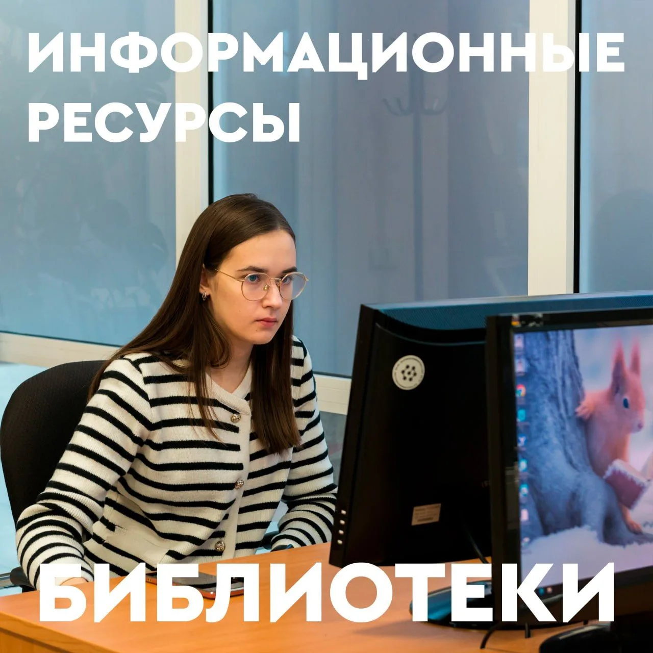 Информационные ресурсы,  коллекции, электронные библиотеки и базы данных