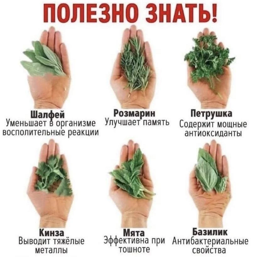 Это полезно знать 👍❗️