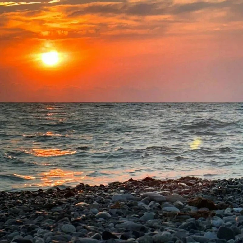 Загрязнений береговой полосы и морской акватории не обнаружено во время мониторинга экологического с