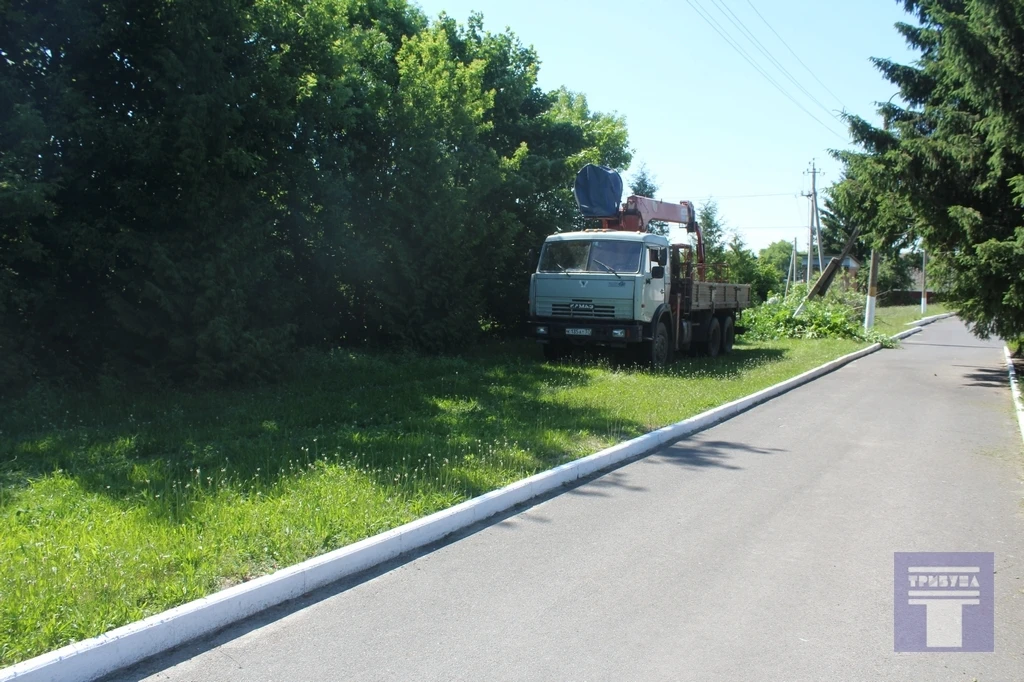 #Благоустройство 

Около Конышевского районного Дома культуры началось выпиливание клена на меже ого