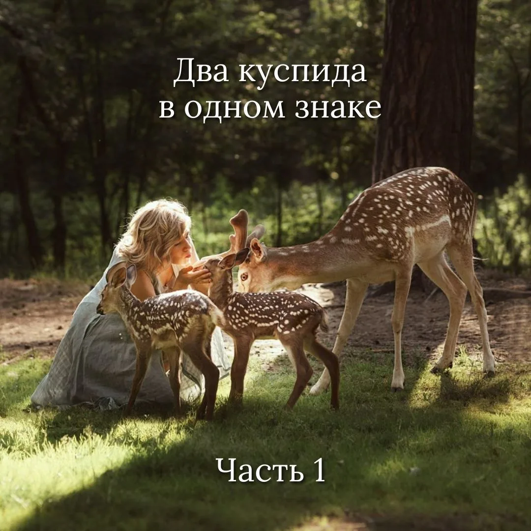 💫 ДВА КУСПИДА В ОДНОМ ЗНАКЕ