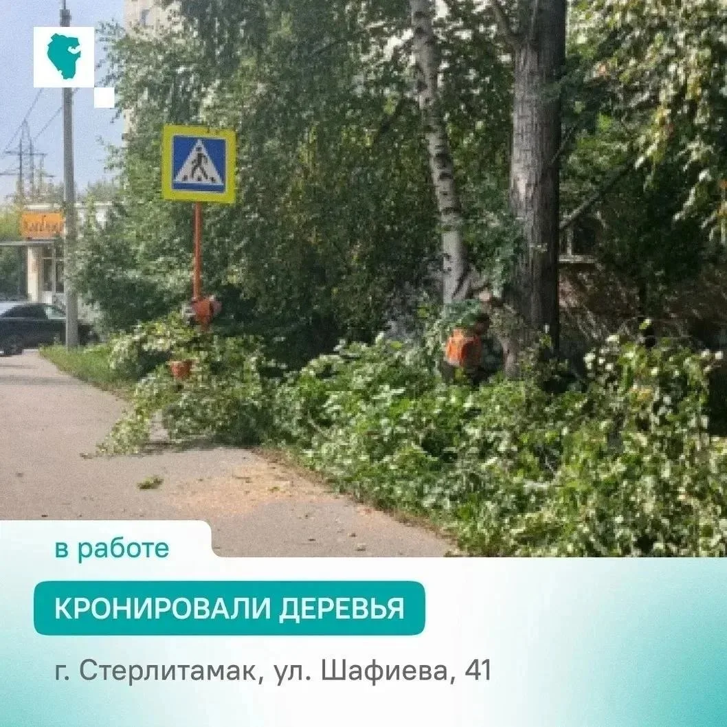 В Стерлитамаке выполнили частичное кронирование деревьев возле дома №41 по улице Шафиев...