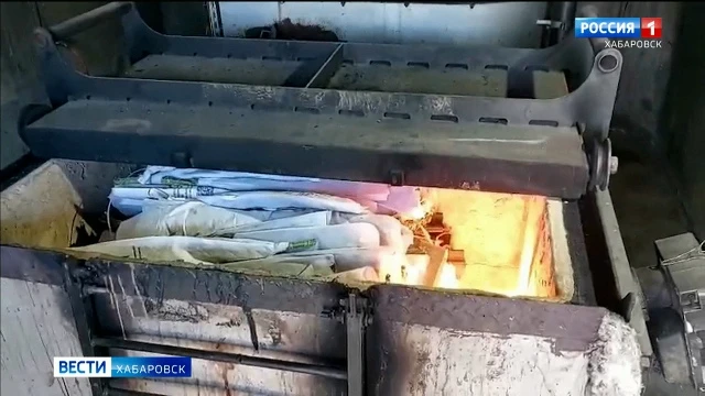 Почти 200 коробок цветов уничтожили в Хабаровске из-за заражения западным трипсом

Текст: ГТРК "Даль