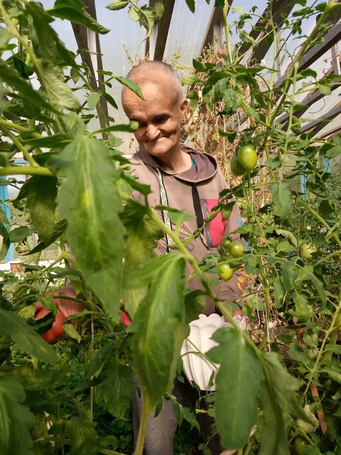 🍅В теплице нашего интерната под руководством инструктора по труду  жители выращивают п...