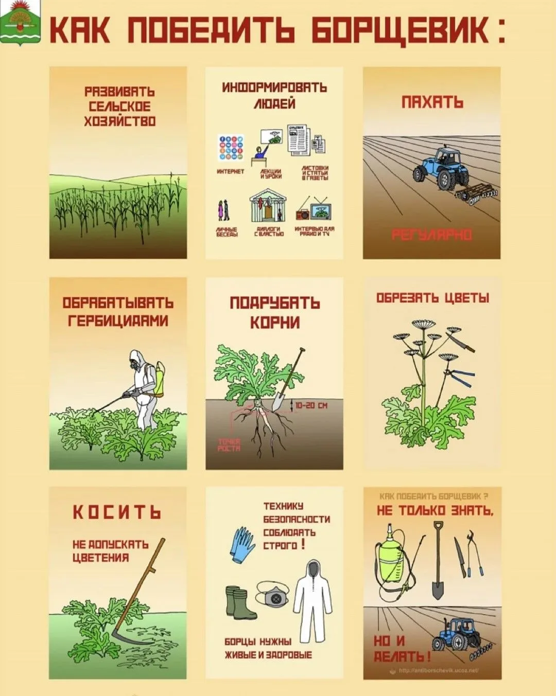 Борщевик Сосновского — не просто сорняк, а серьезная угроза! ⚠️📢Жители и гости Износко...