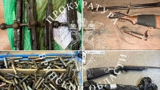 В Брянске 69-летнего мастера будут судить за незаконный арсенал