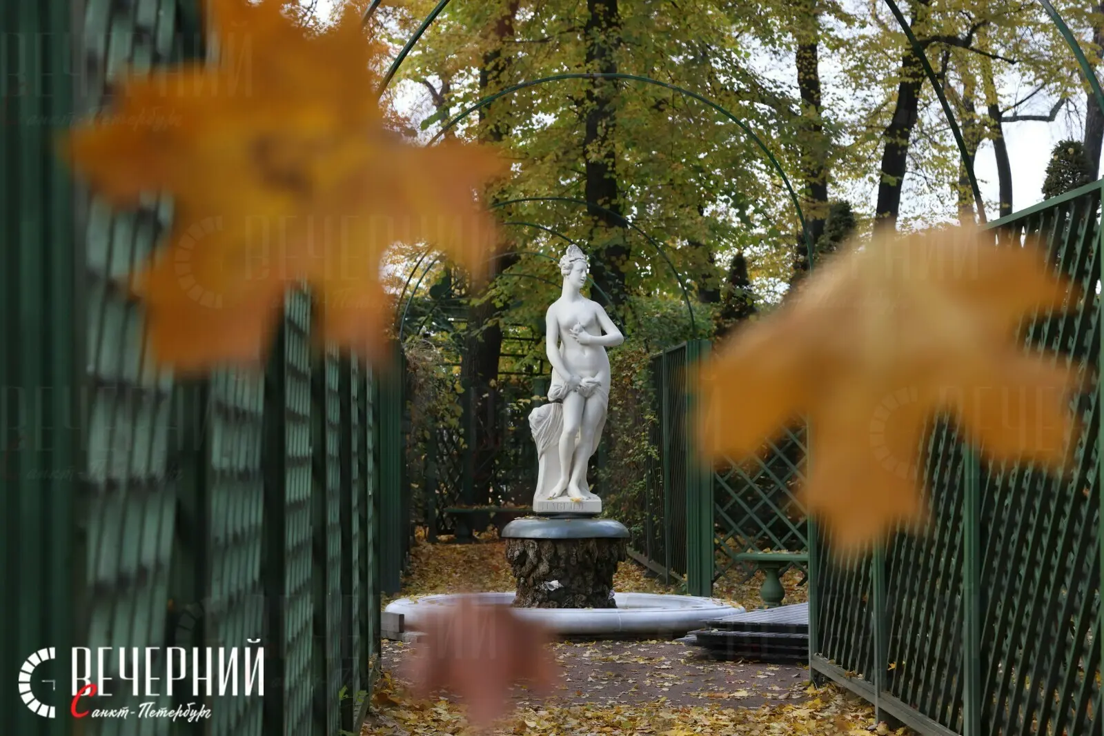 🌤 Вторник порадует Петербург теплом