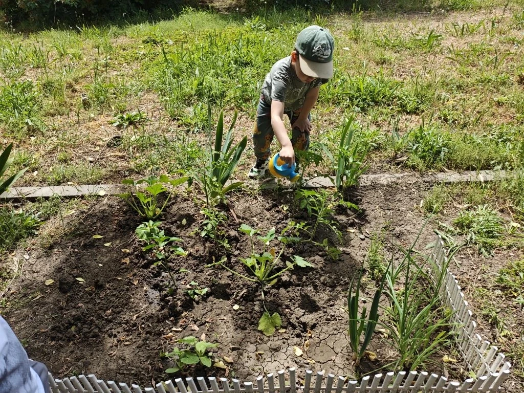 🌿 Наши юные огородники!

Ребята средней группы " Ягодка" 🍒🍓🫐 с большим интересом и заботой ухажи