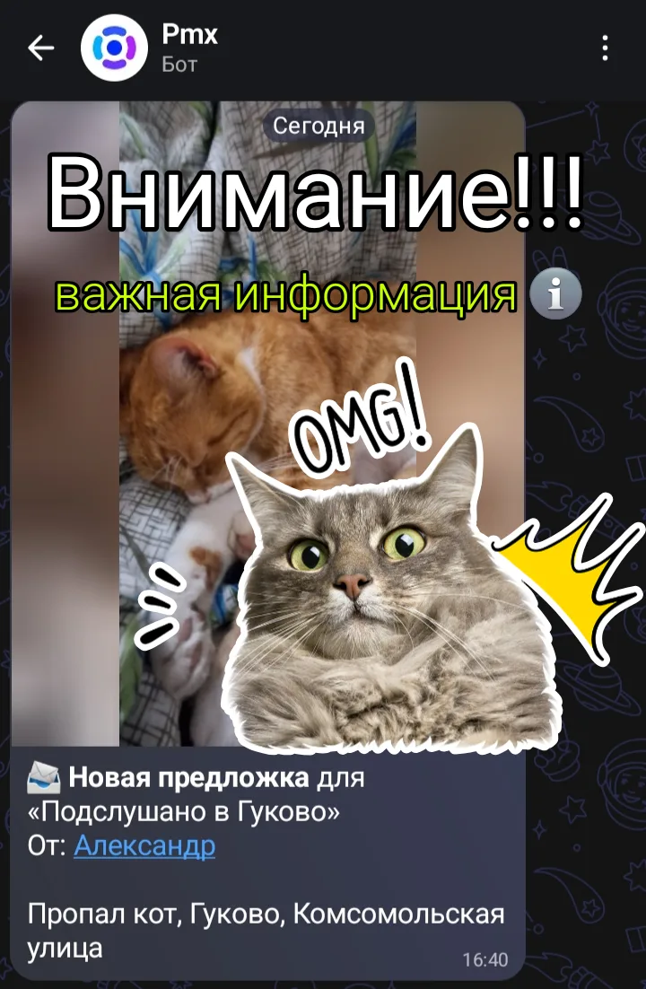 🚨 Внимание! Важная информация для наших подписчиков!