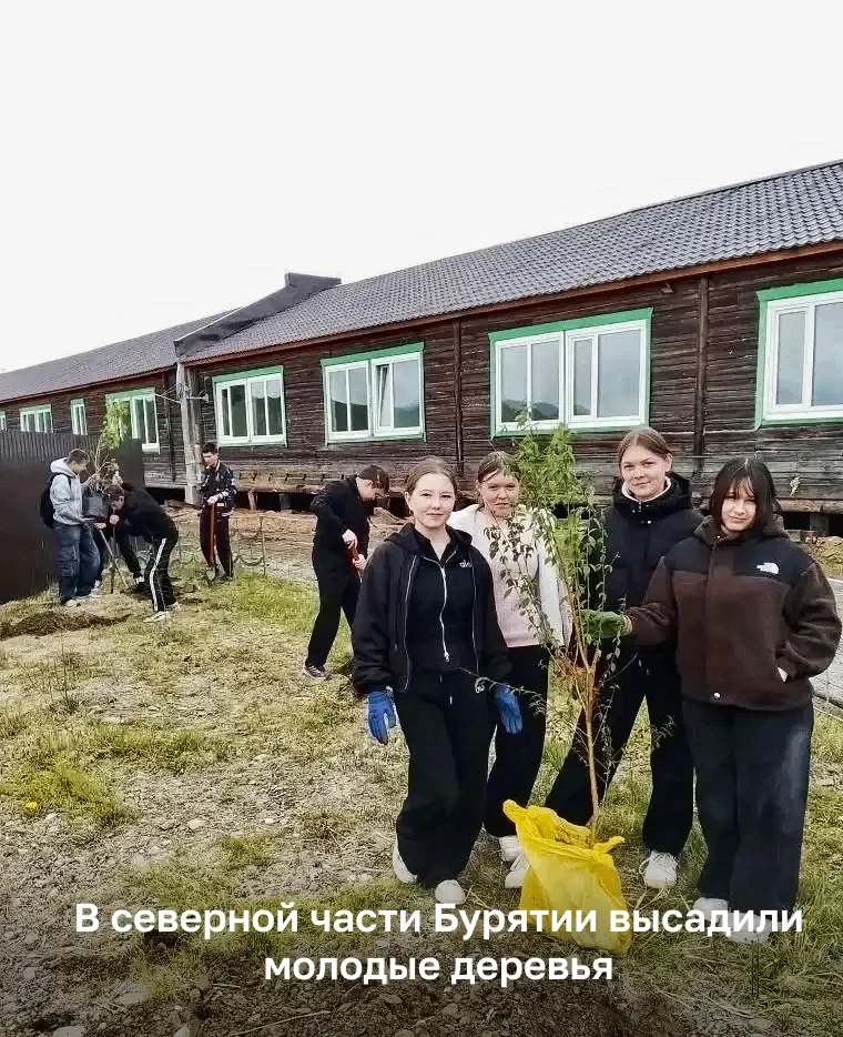 В северной части Бурятии высадили молодые деревья