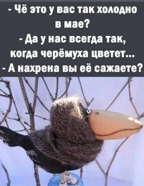 Важный Гусь