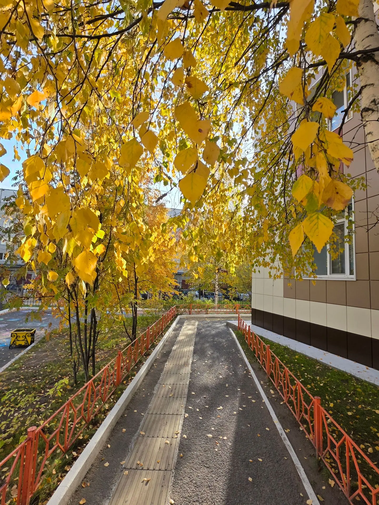 🌞Всем яркой недели и интересных событий.🍁