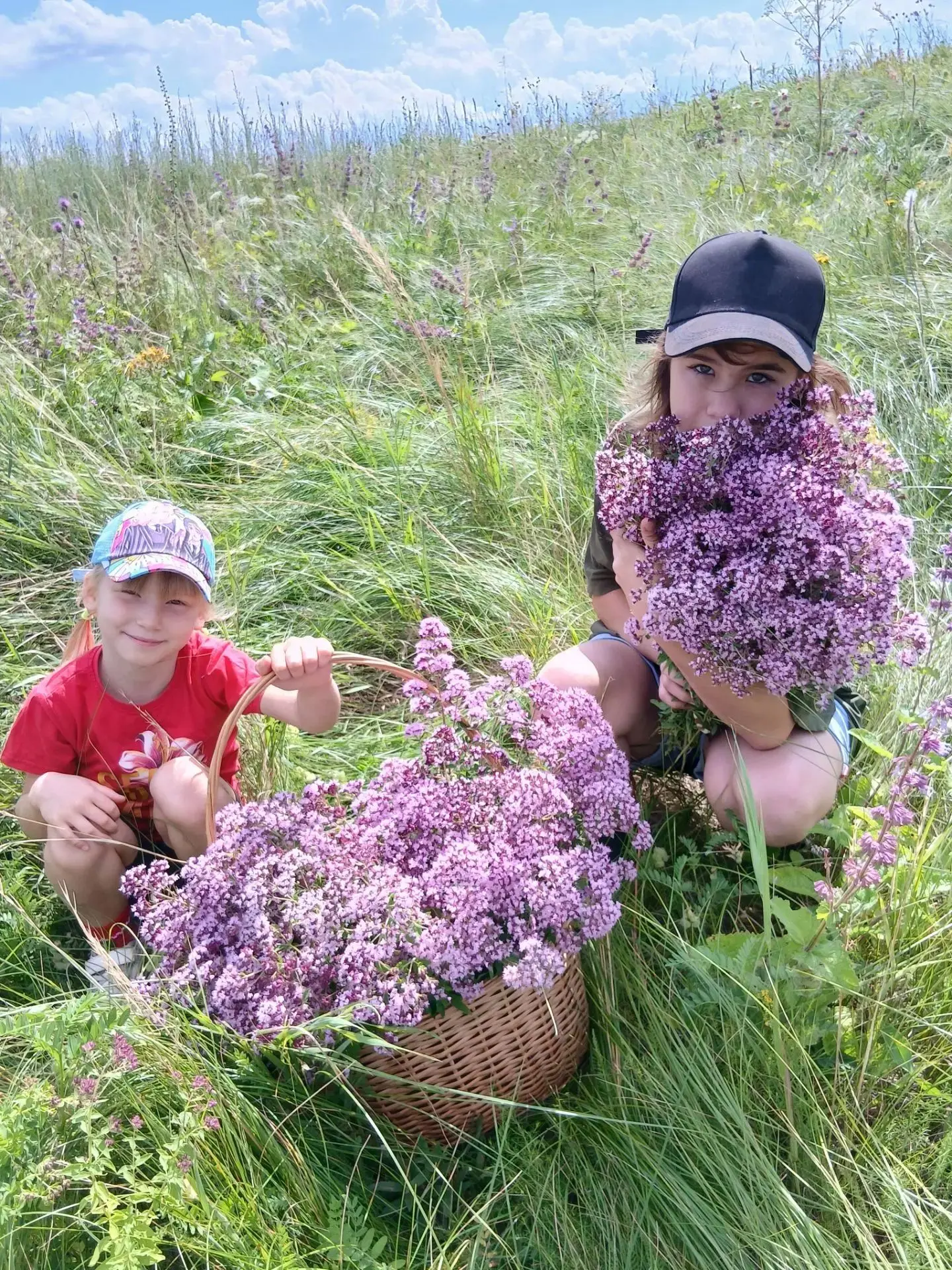 🌿 Лето — пора сбора целебных трав!🌿 
Сегодня девочки нашего Центра вместе с воспитателем Аминой Га
