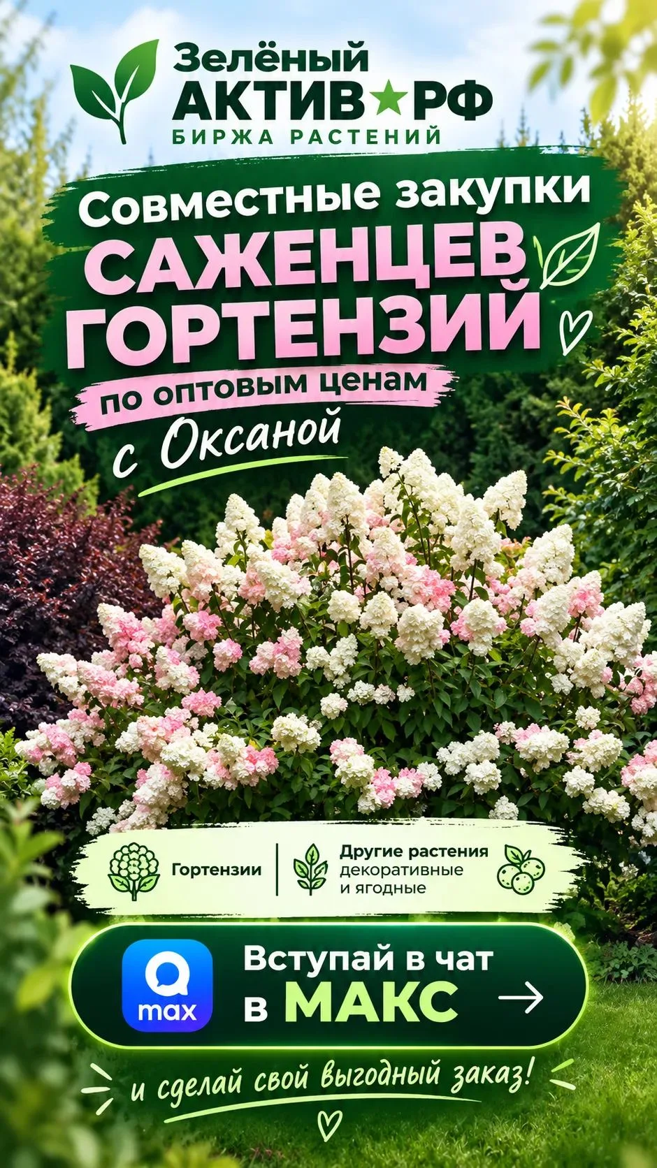 Коллеги!