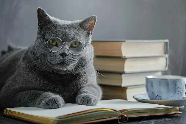 📖 Как превратить летнее чтение в удовольствие?

☀Лето — это потрясающая возможность сделать чтение 