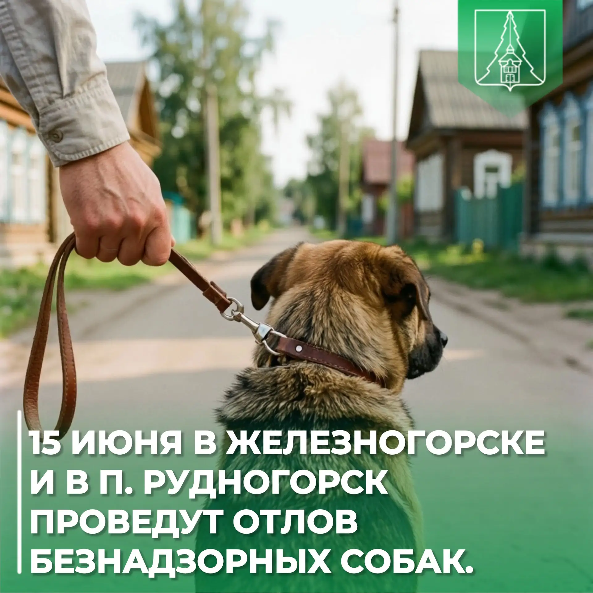 🐕 Уважаемые жители Железногорска-Илимского и посёлка Рудногорск!

⚠️ 15 июня на территории города и
