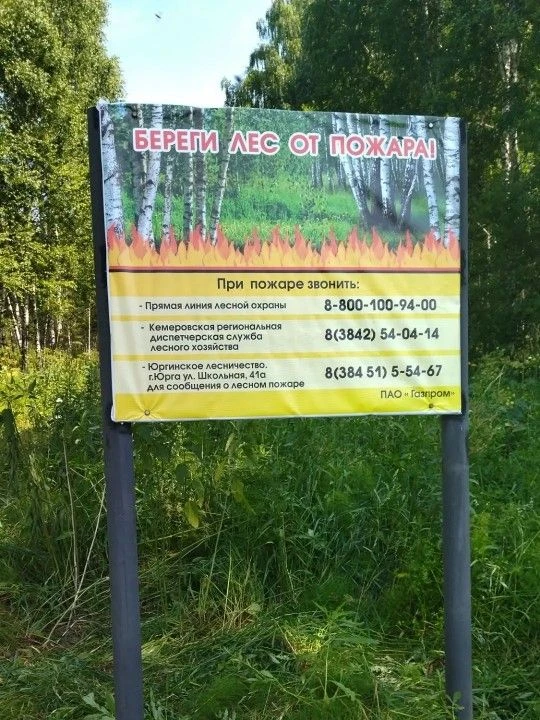 Работники Юргинского филиала завершили большой блок природоохранных мероприятий в Кемеровской област
