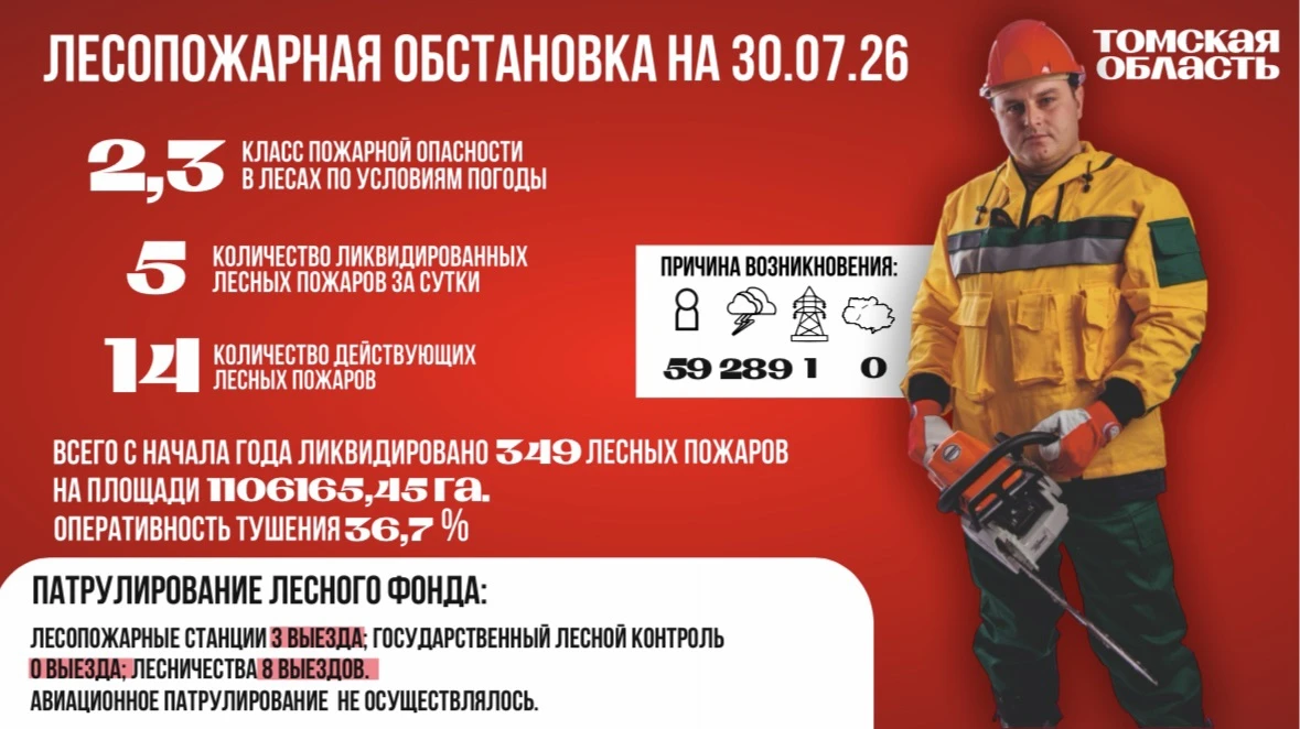 На территории Томской области класс пожарной опасности в лесах по условиям погоды 2,3 (средняя пожар