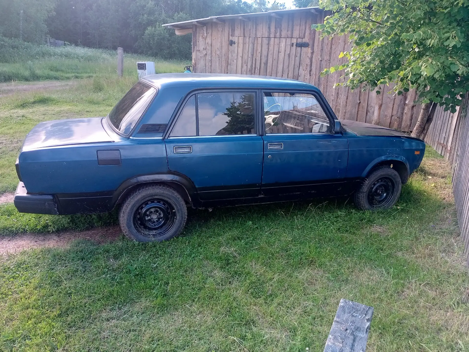 Продам аквариумных рыбок гуппи(красивые мальки 4-6 мес) по 70 р.