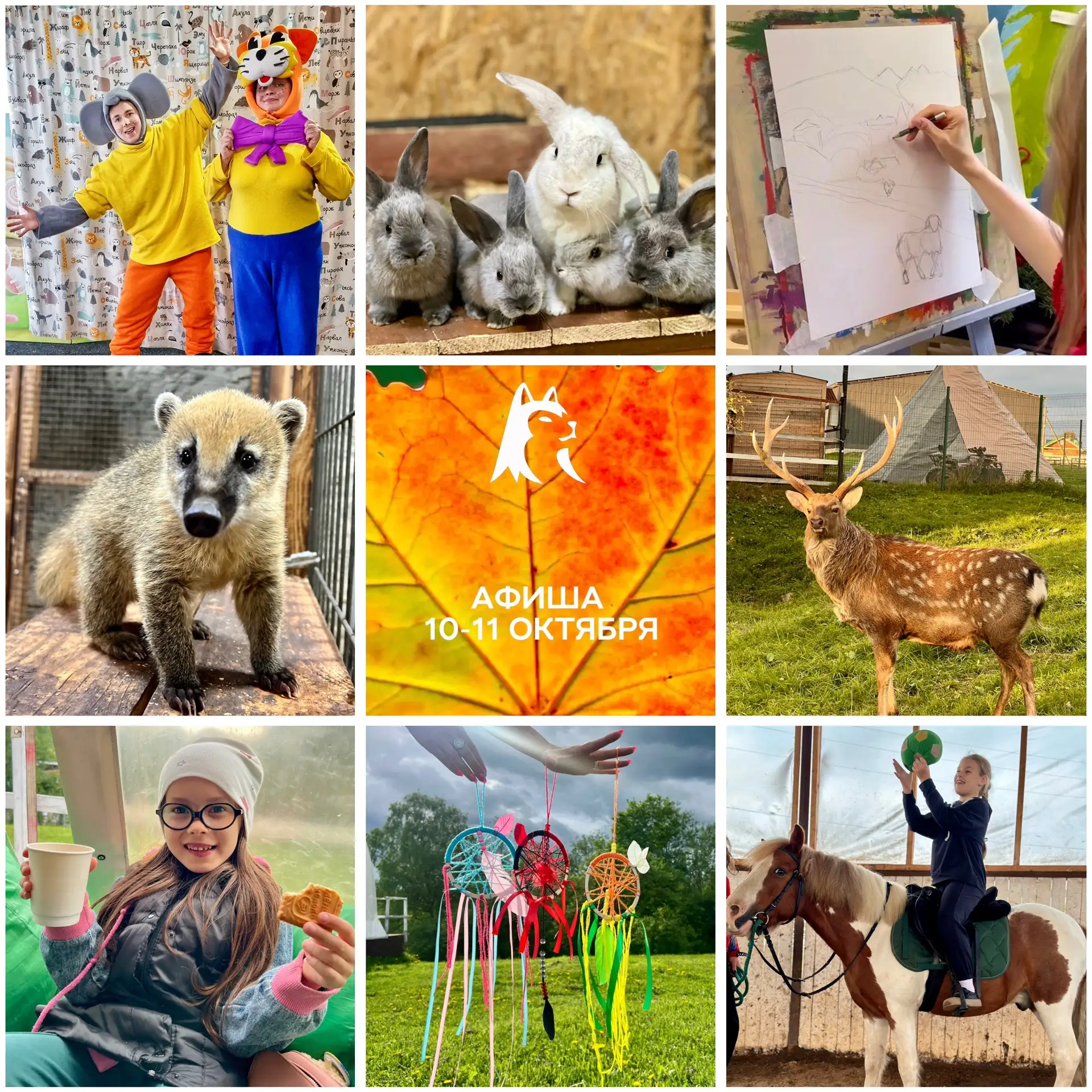 Всемирный выходные психического здоровья в парке отдыха «Зооферма Шихово». Основными со...