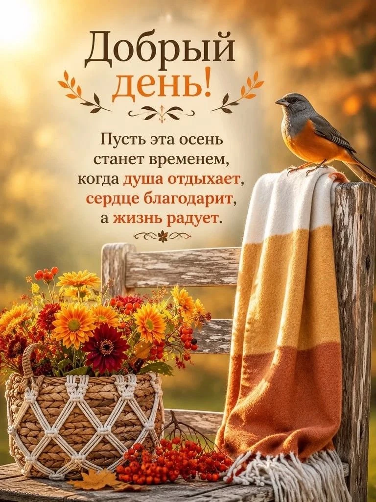 🍂В осенней Москве есть особенная красота: золотые кроны, мягкий свет, тихие аллеи, по ...