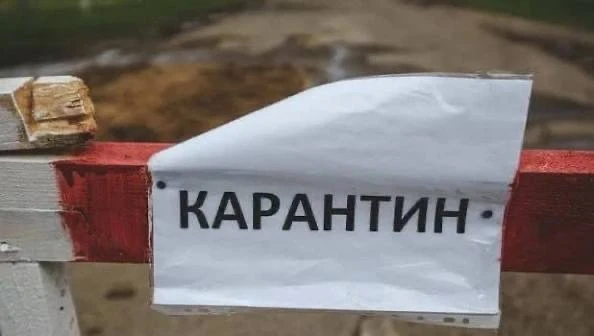 В Цивильском районе ввели карантин из-за бешенства