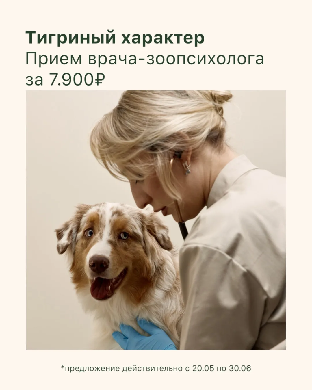 Проблемы с поведением питомца — это не всегда вопрос воспитания. Испорченные любимые ве...