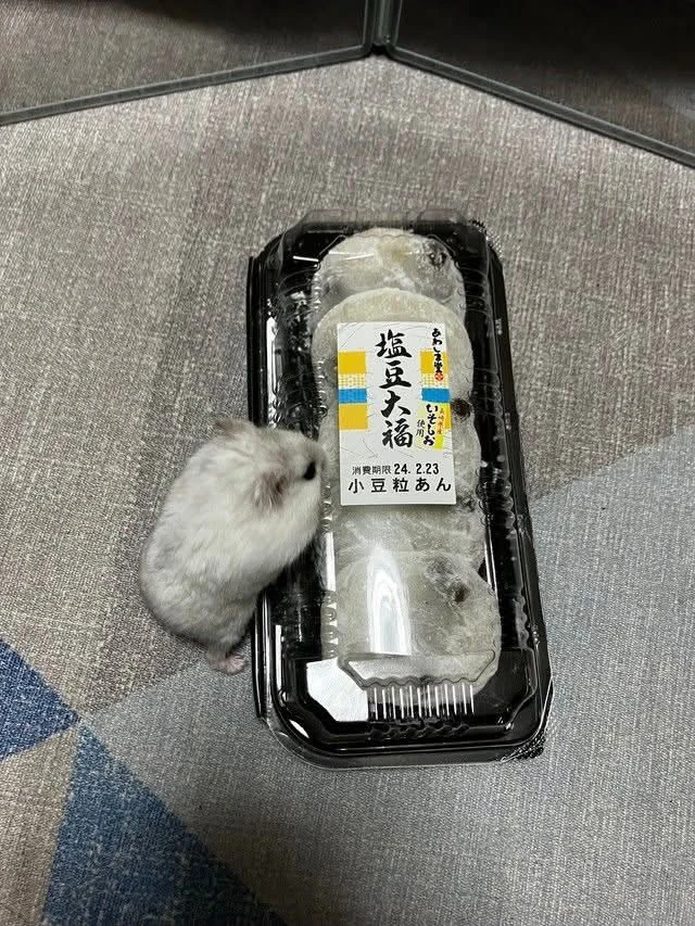 Oh no...