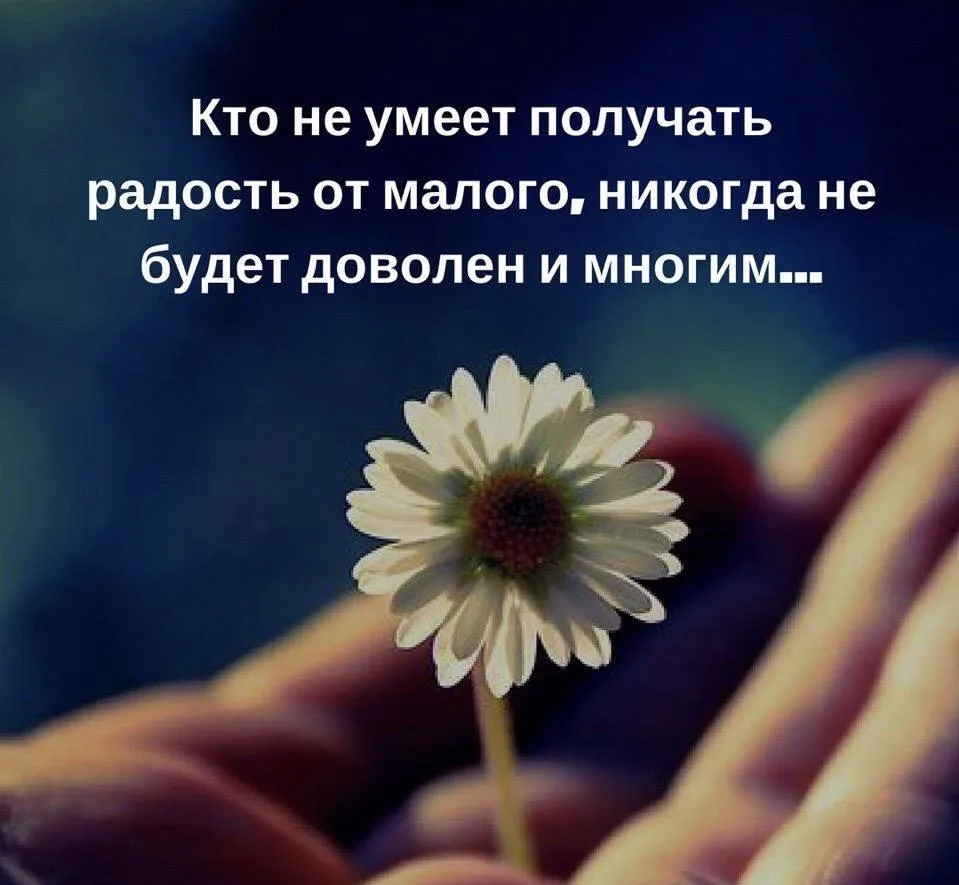 ❣️Открытка на связи 👇👇