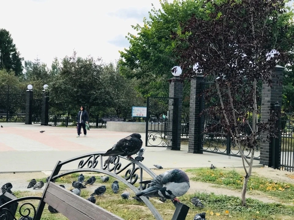 Доброе утро, Бердск! За окном 28 июля, вторник    

Сегодня до +25

Бердск Онлайн
