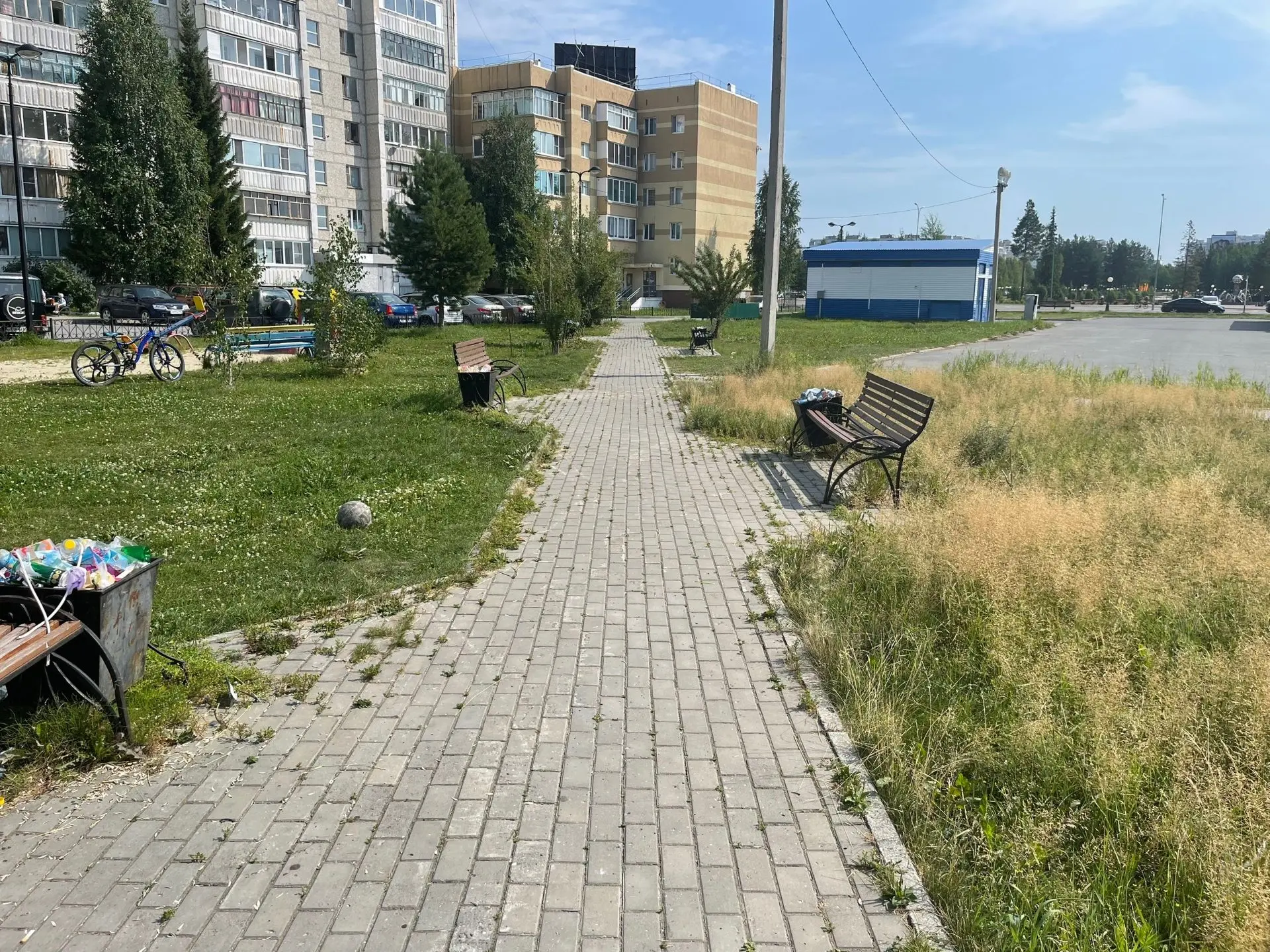 Чья зона ответственности в 3 микрорайоне от мусорки 2, 3 дома вдоль спортивных площадок? Всегда полн