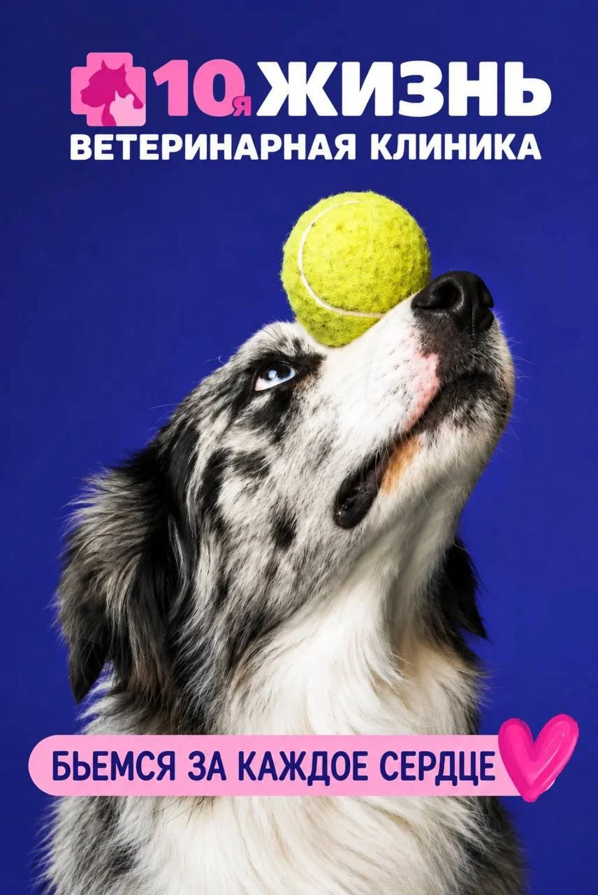 Огромное спасибо ветеринарной клинике «10-я жизнь» и лично её руководителю Диане за пом...