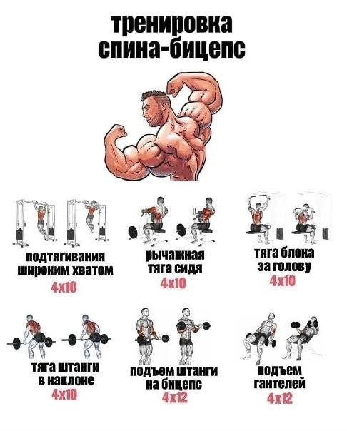 Подпишись на программы 
тренировок💪