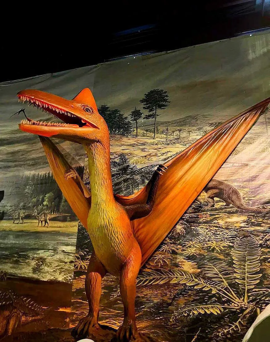 Где можно познакомиться с динозаврами в столице? 🦕