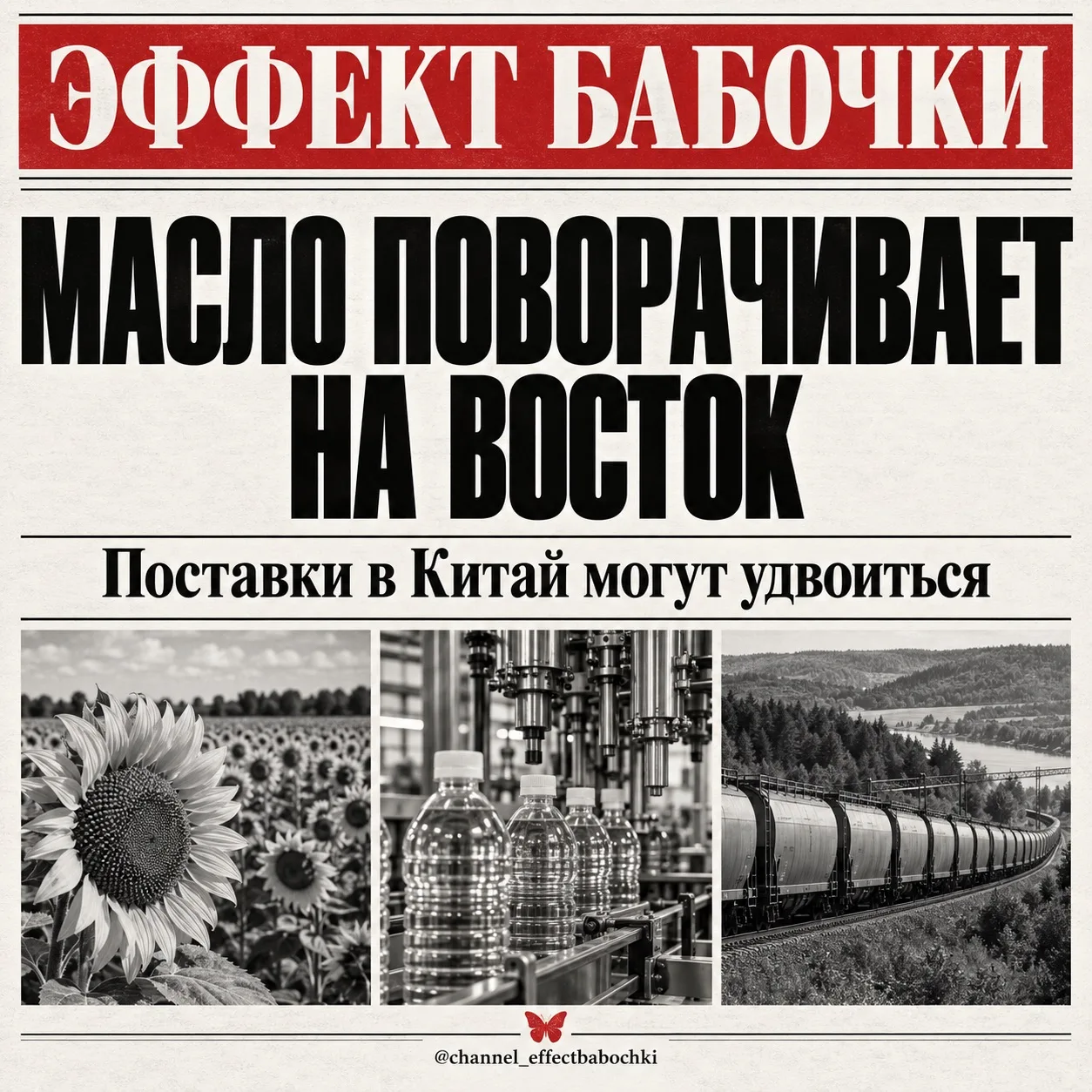 🌻 Российское масло разворачивается к Китаю. Но со скидкой
