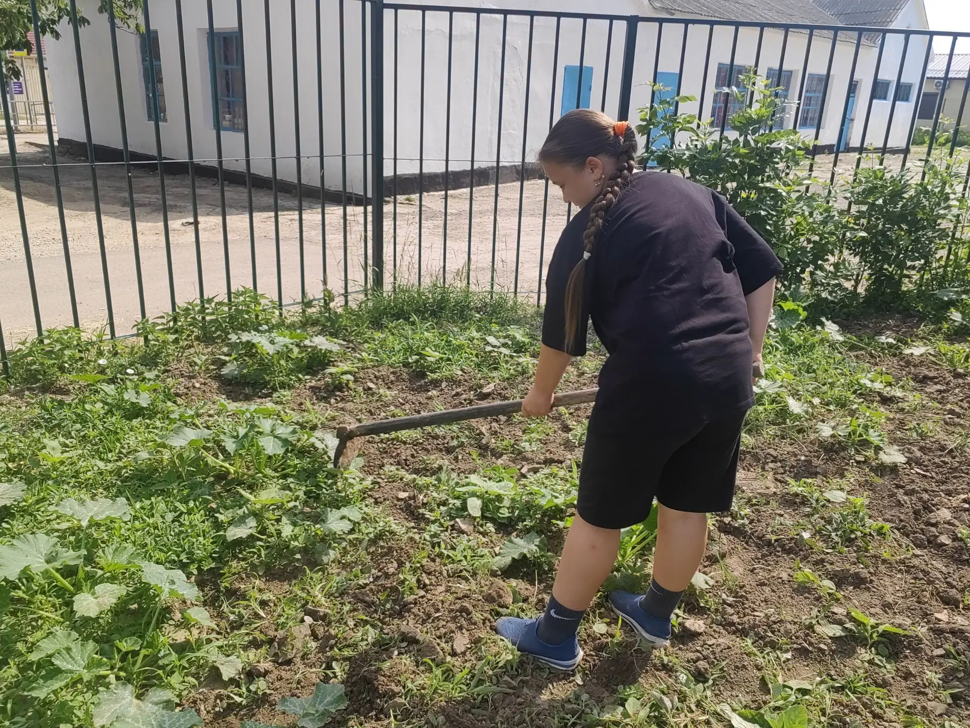 Наши ученики продолжают летнюю практику ☀️👩‍🌾

Ребята дружно помогают школе: сапают огород 🌱, при